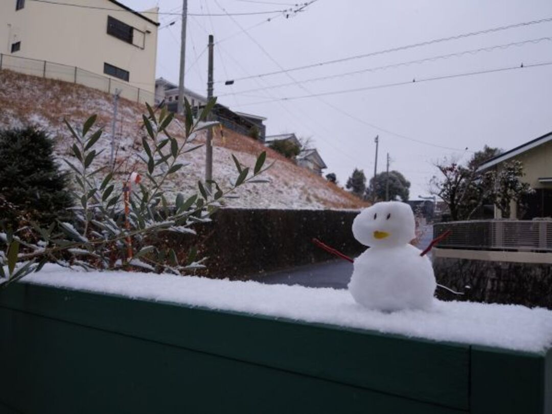 雪だるまちゃん　ぴよぴよちゃんさん.jpeg
