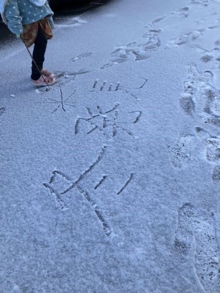 庭に積もった雪 えりりんりんりんさん.jpg