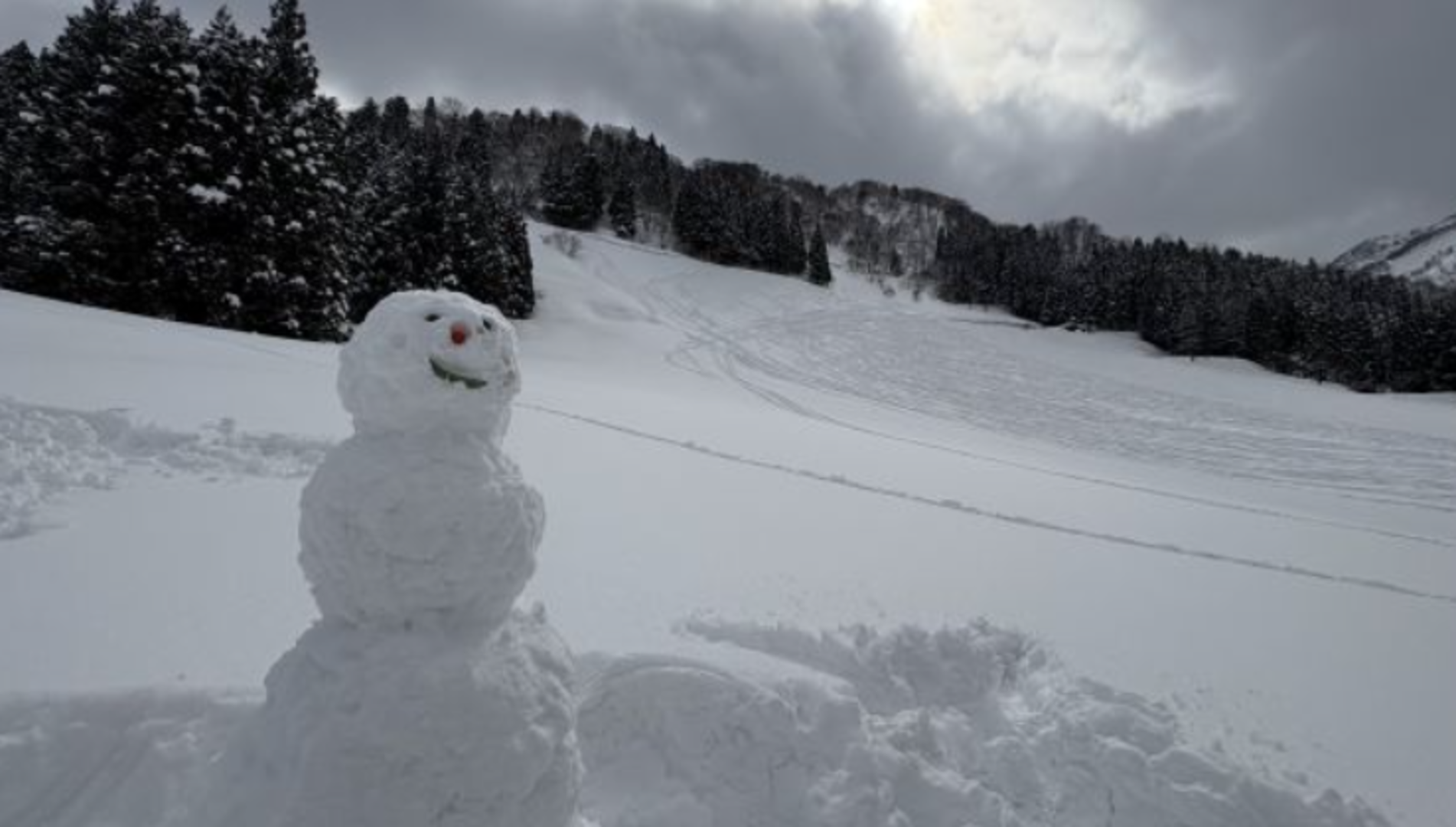 かわいい雪だるまが、空を見上げていたよ。 つきつきつっきーさん.png